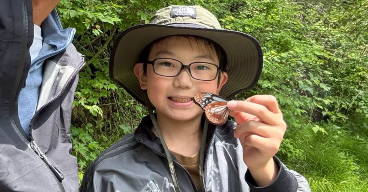 Young Japanese boy Jo Nagai holding magnifying glass while examining butterflies in his home laboratory