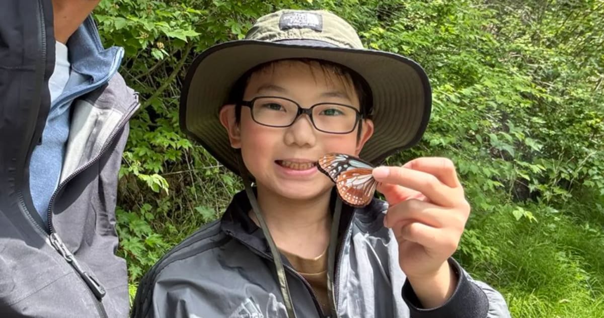Second Grader Proves Butterflies Remember Their Past Lives - Image 2