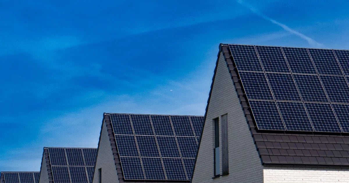 Rows of blue solar panels installed on residential rooftops under bright summer sun