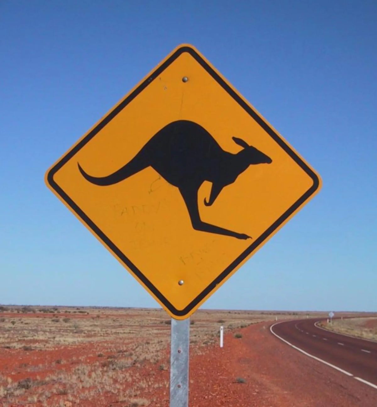 Volkswagen's AI Device Cuts Kangaroo Road Collisions - Image 2