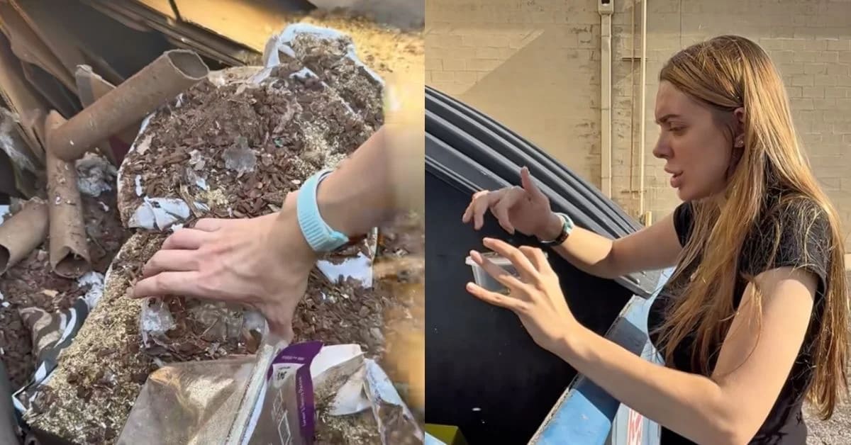 Baby tortoise rescued from dumpster being held gently in caring hands after rescue