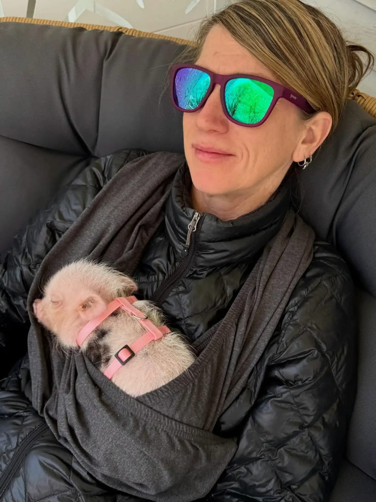 This 5-Pound Pig Helps DC's Homeless Find Hope - Image 2