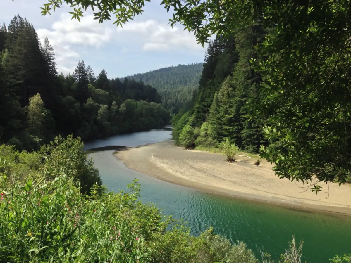California Pays Anglers to Catch Invasive Fish This Summer - Image 3