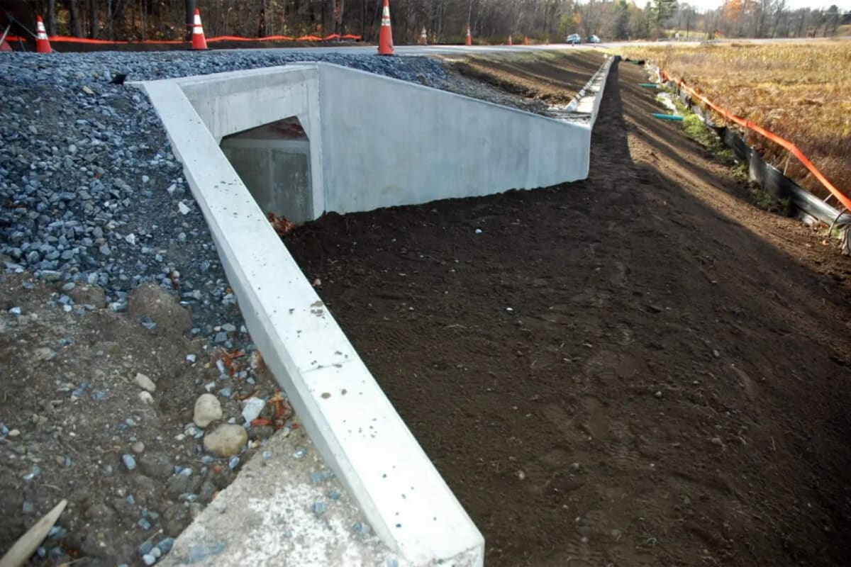 New Hampshire Builds Salamander Tunnels to Save Lives - Image 4
