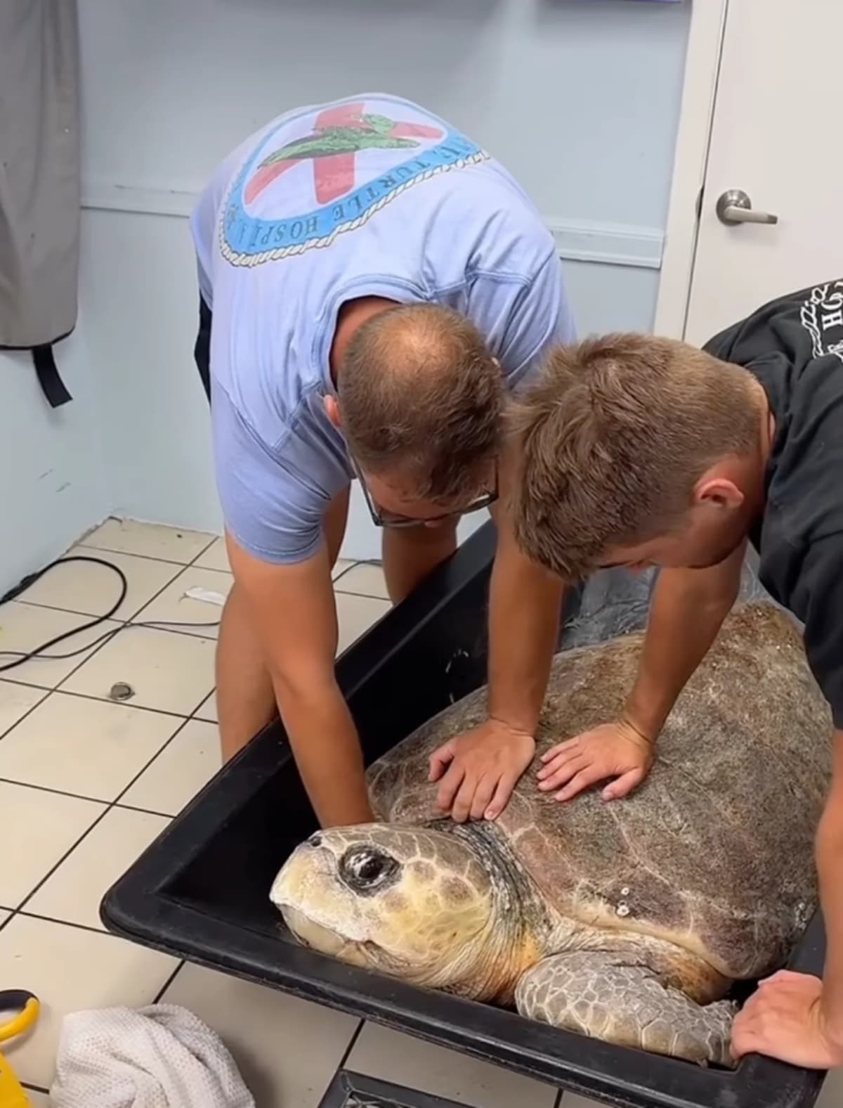 270-Pound Sea Turtle Rescued in Florida Keys - Image 2