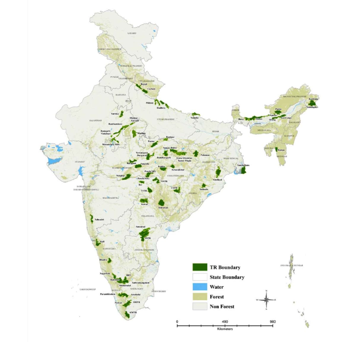 India Builds World's Largest Wildlife Crossings for Tigers - Image 4