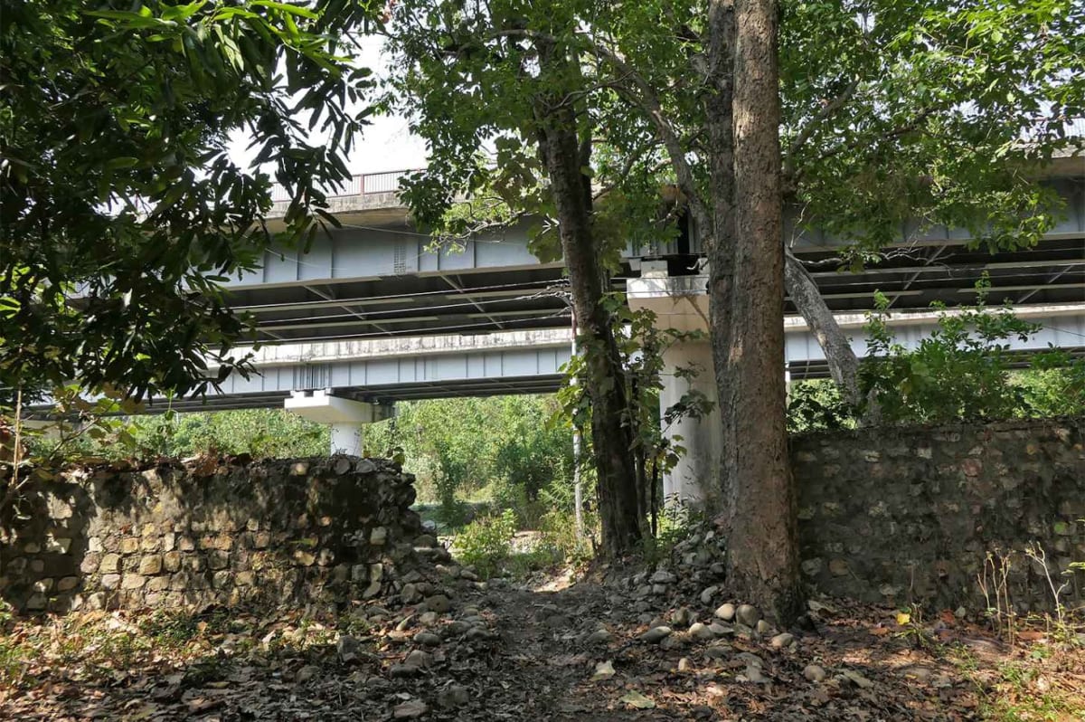 India Builds World's Largest Wildlife Crossings for Tigers - Image 5