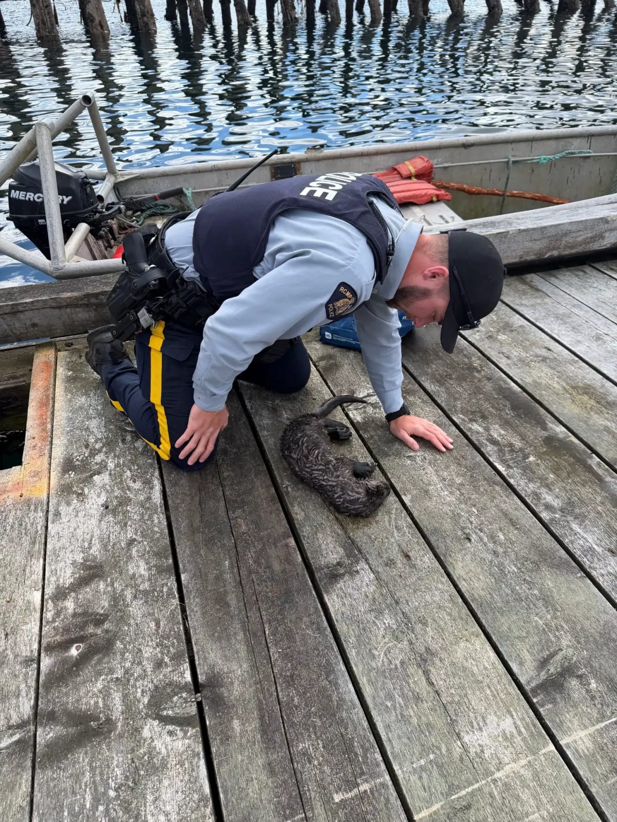 Retired Fisher Saves Otter With Mouth-to-Mouth CPR - Image 3