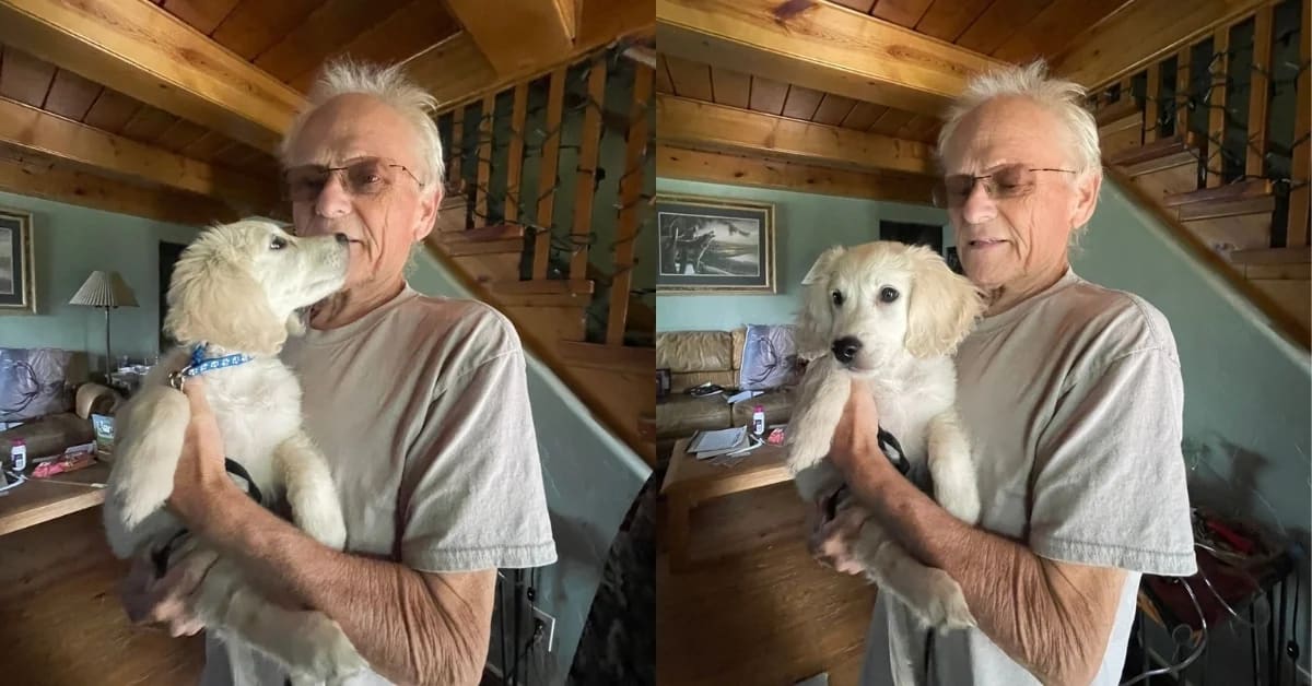 Golden retriever puppy Gladdie cuddling with hospice patient Dan on beanbag couch