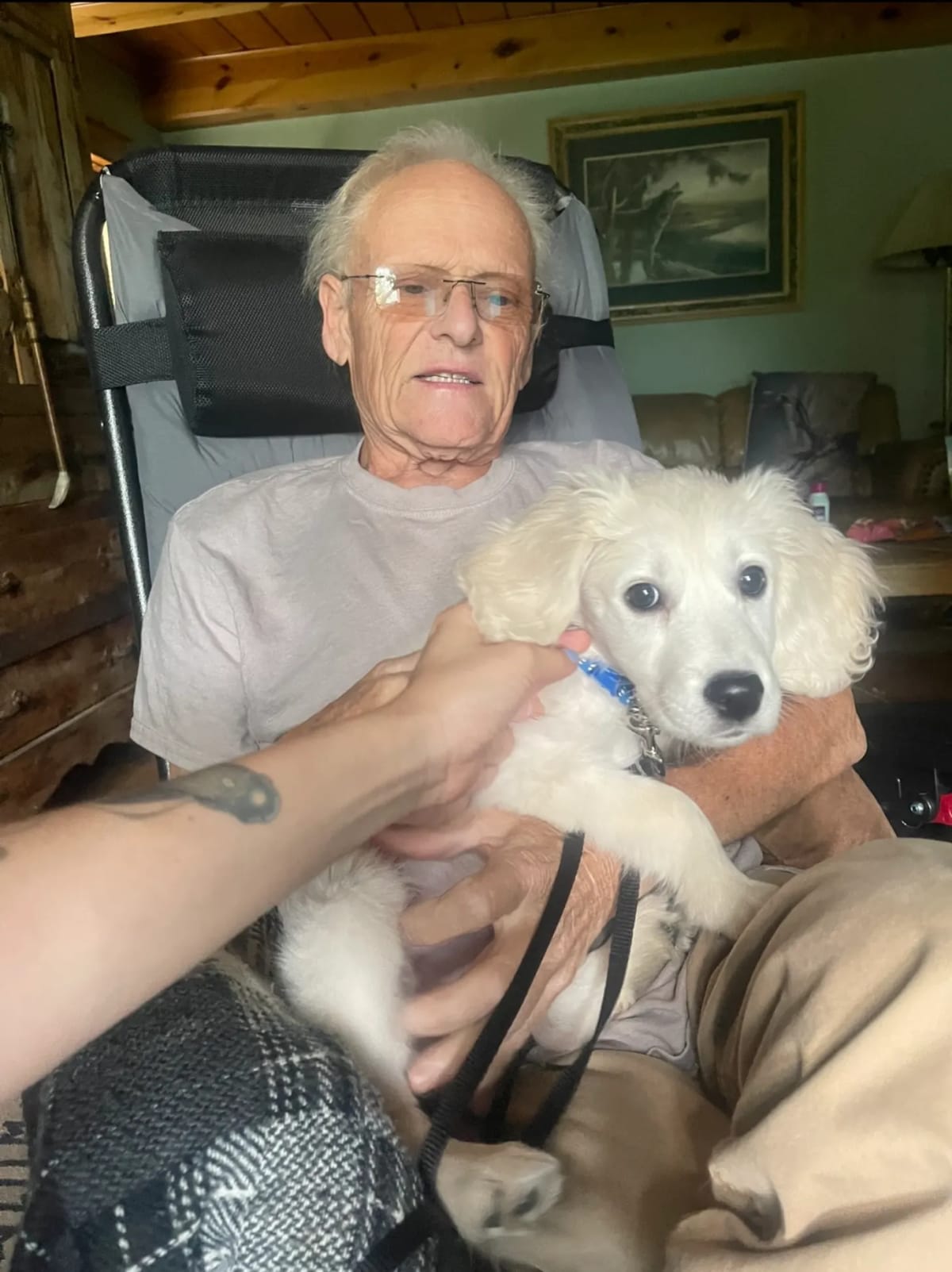 Hospice Patient Gets Puppy Cuddles for Final Wish - Image 3