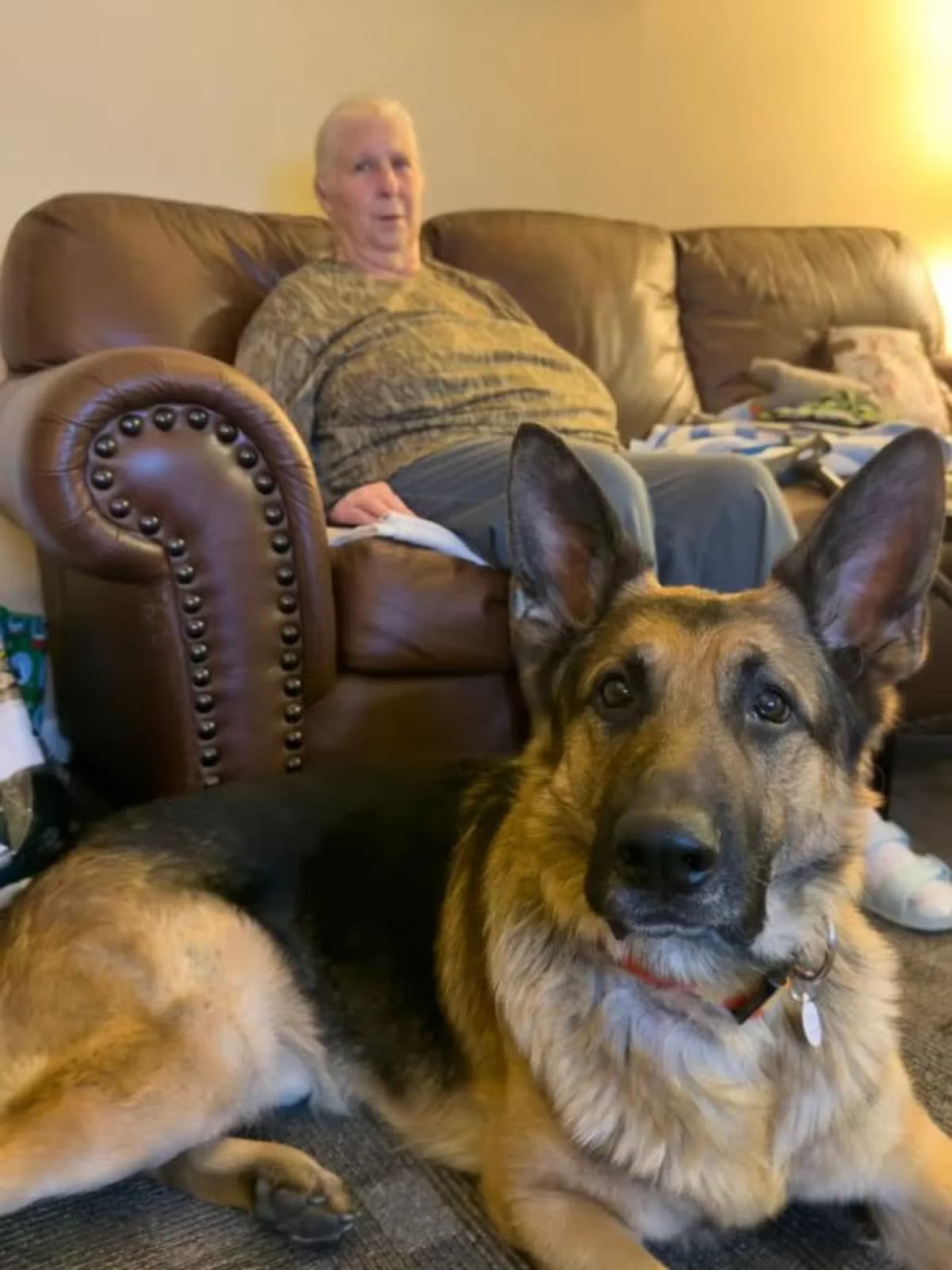 Hero Dog Saves Owner From Wildfire She Couldn't Smell - Image 2