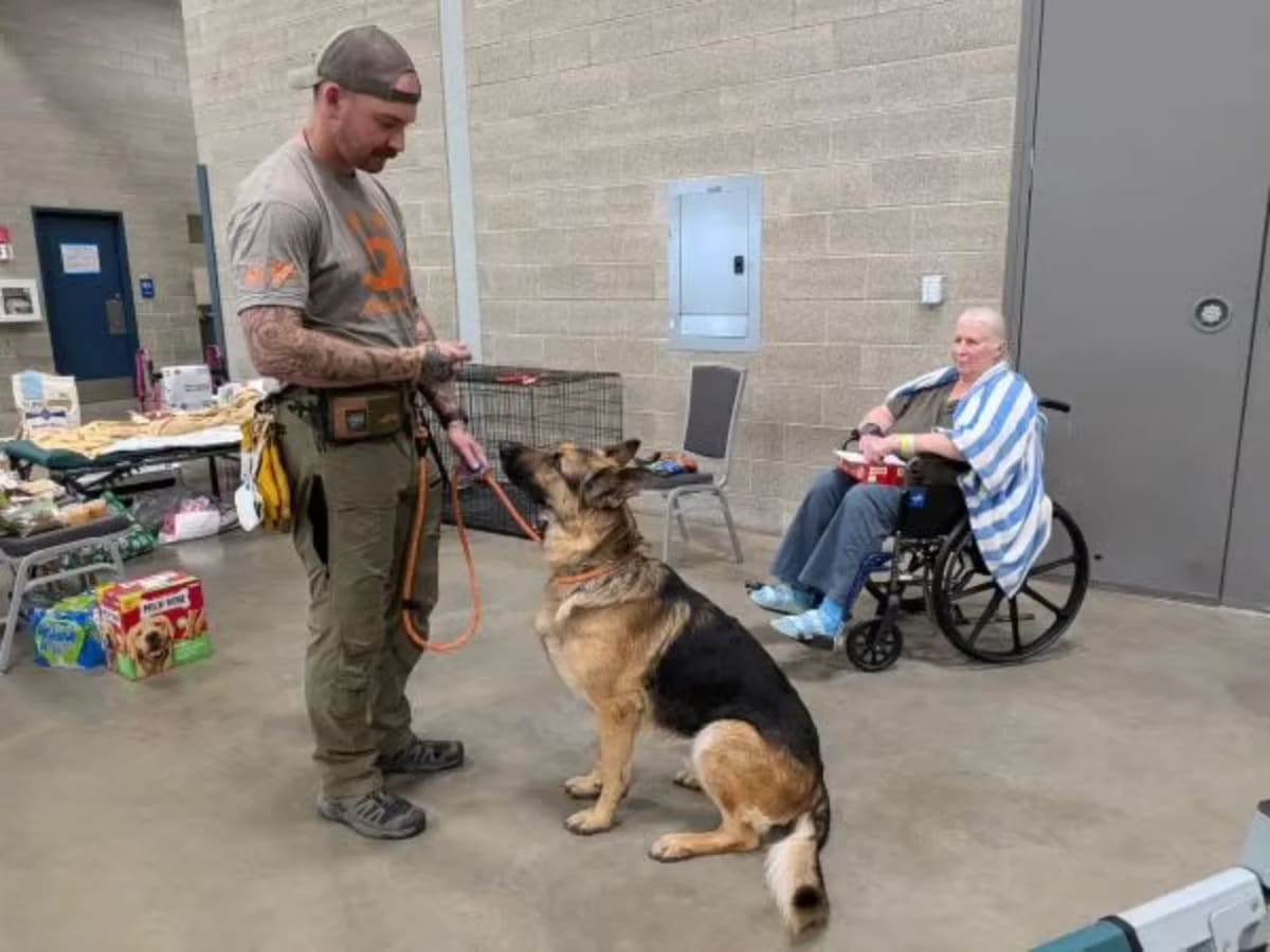 Hero Dog Saves Owner From Wildfire She Couldn't Smell - Image 4