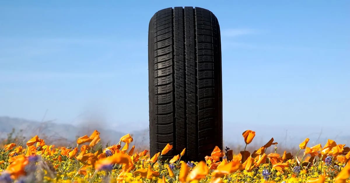 Close-up of car tire on California highway with green efficiency rating label visible