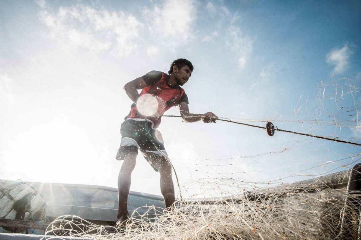 Colombian Fishers Turn Shark Hunters Into Conservationists - Image 3