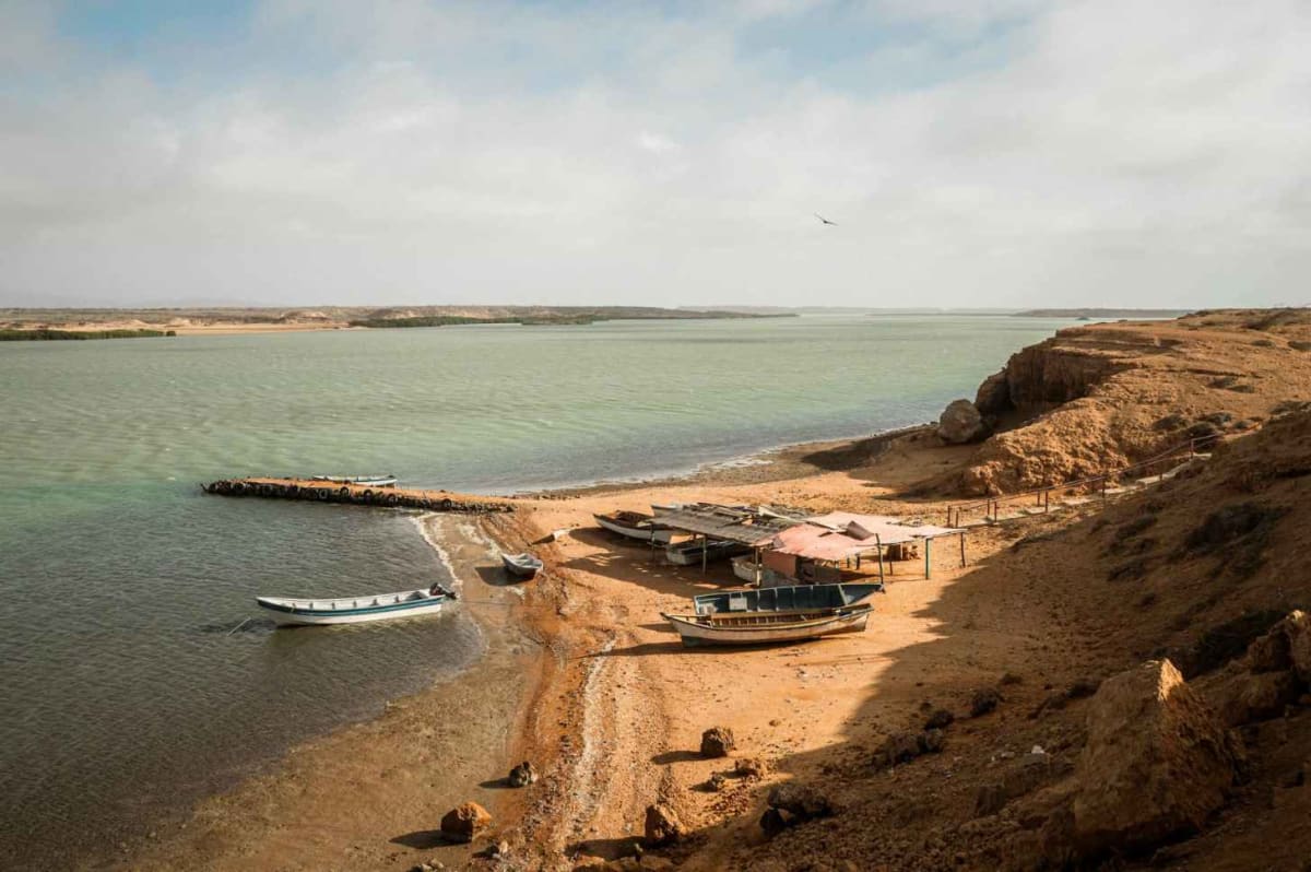 Colombian Fishers Turn Shark Hunters Into Conservationists - Image 4