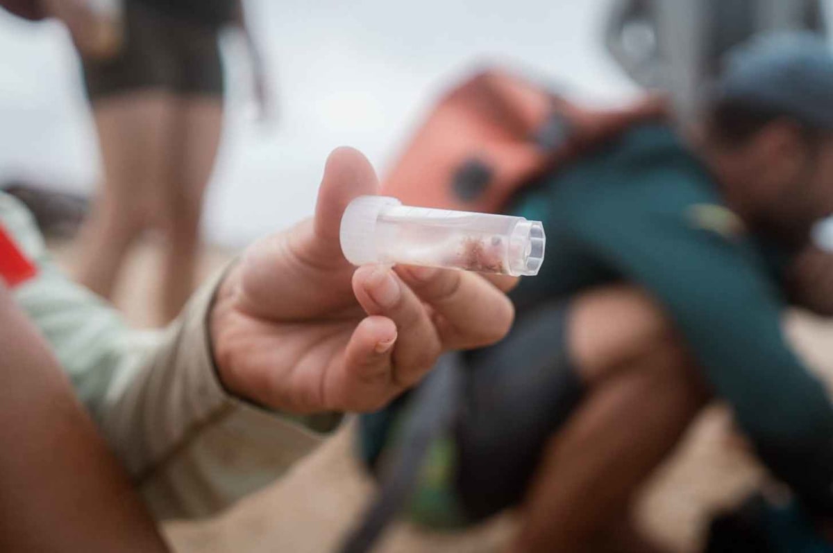 Colombian Fishers Turn Shark Hunters Into Conservationists - Image 5