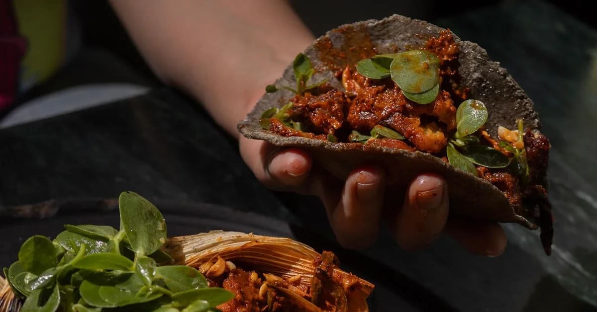 100 Restaurants in 14 Countries Join Pay What You Can Day