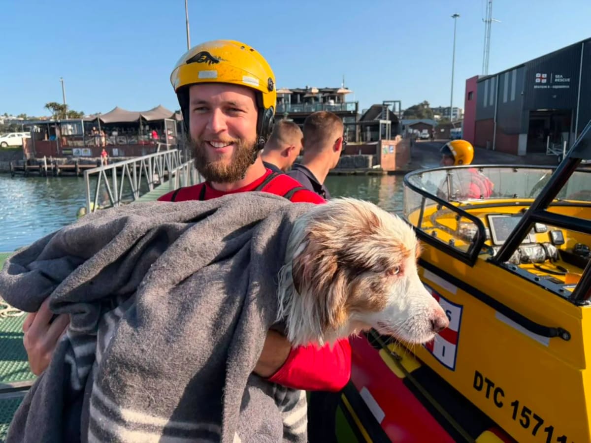 Rescue Crew Saves Dog Swept 650 Feet Out to Sea - Image 2