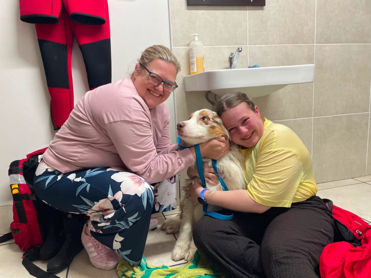 Rescue Crew Saves Dog Swept 650 Feet Out to Sea - Image 4