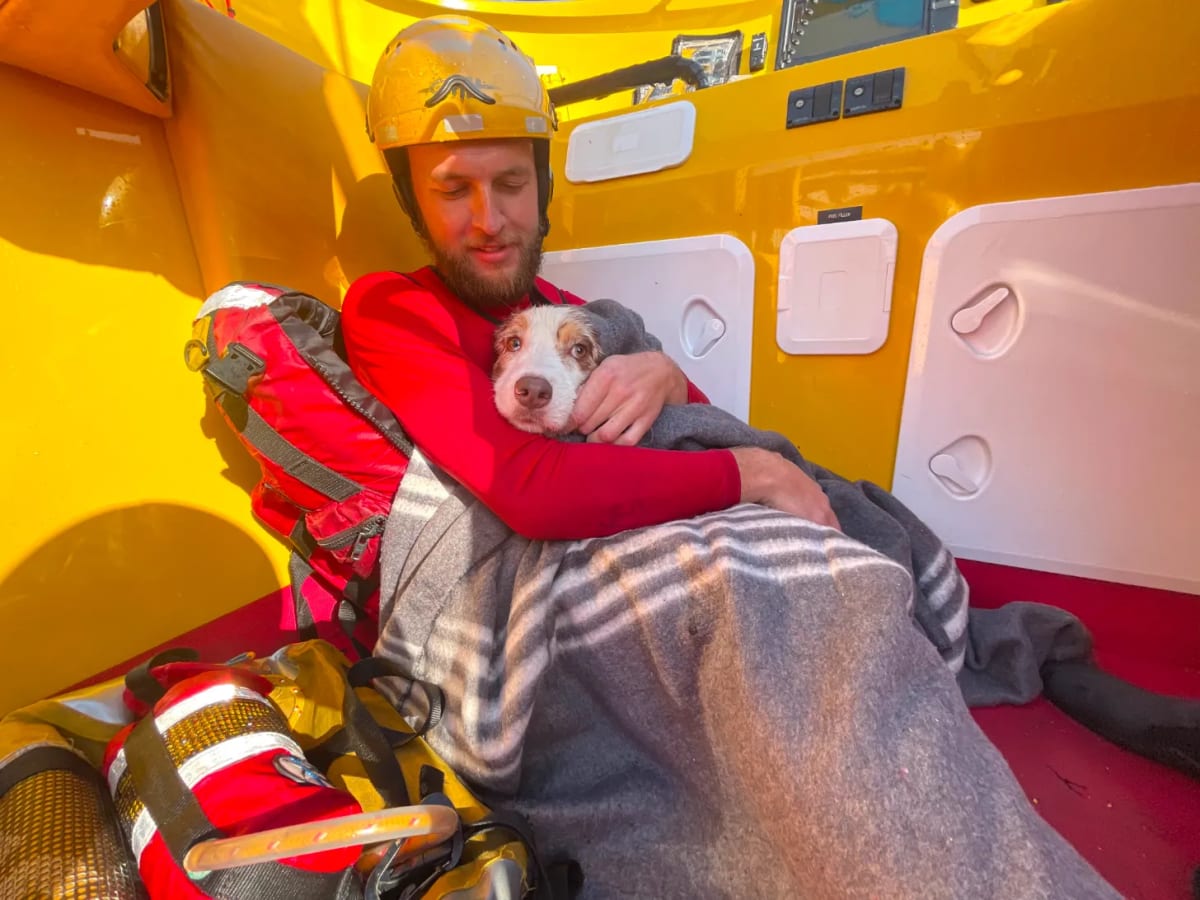 Rescue Crew Saves Dog Swept 650 Feet Out to Sea - Image 3