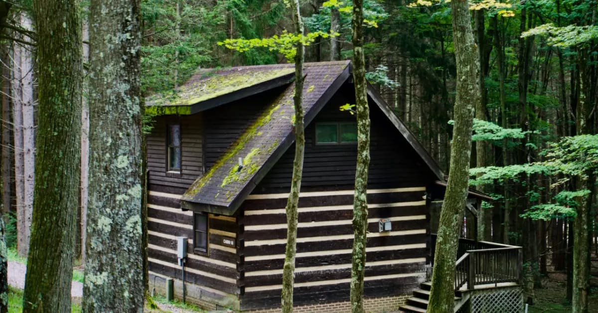 Maryland Opens 55,000-Acre State Park for Families