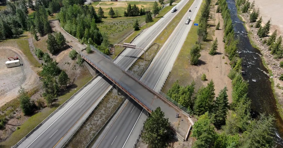 Idaho Trucker's Vision Becomes Wildlife Bridge Saving Lives