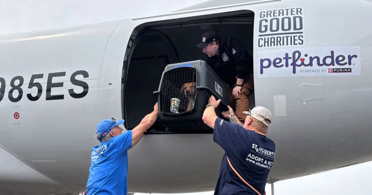 Petfinder Flies 100+ Shelter Pets to Forever Homes at 30