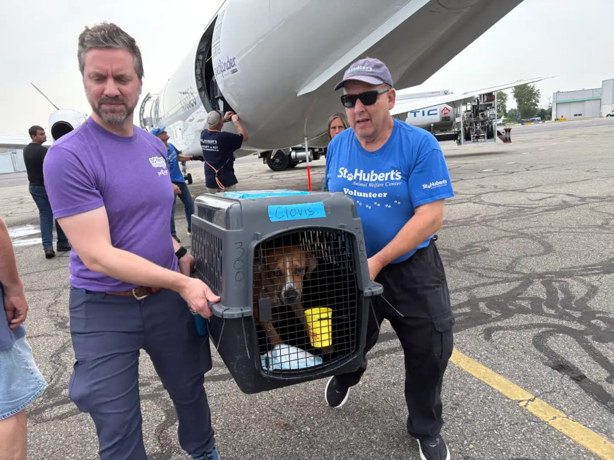 Petfinder Flies 100+ Shelter Pets to Forever Homes at 30 - Image 2