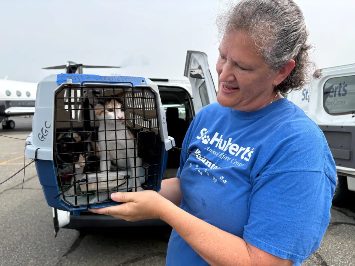Petfinder Flies 100+ Shelter Pets to Forever Homes at 30 - Image 3