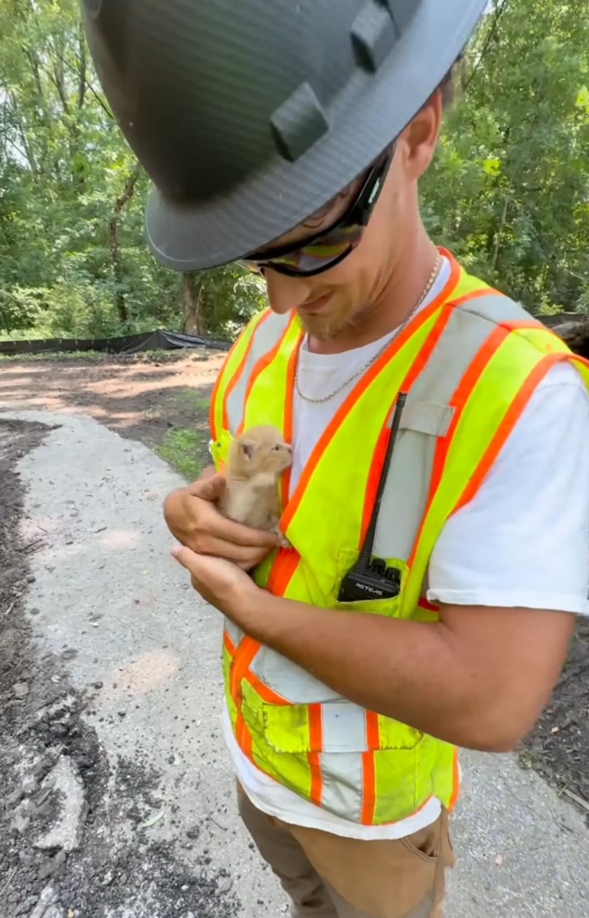 Kitten Rescued from Excavator Becomes Ohio Shop Cat - Image 2