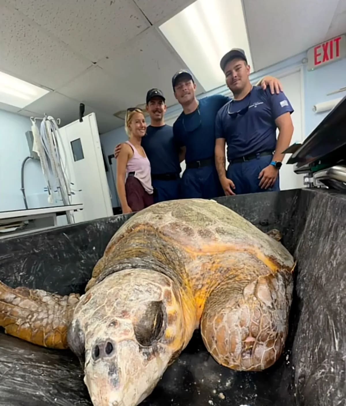 Coast Guard Saves 220-Pound Turtle Carrying 100 Eggs - Image 3