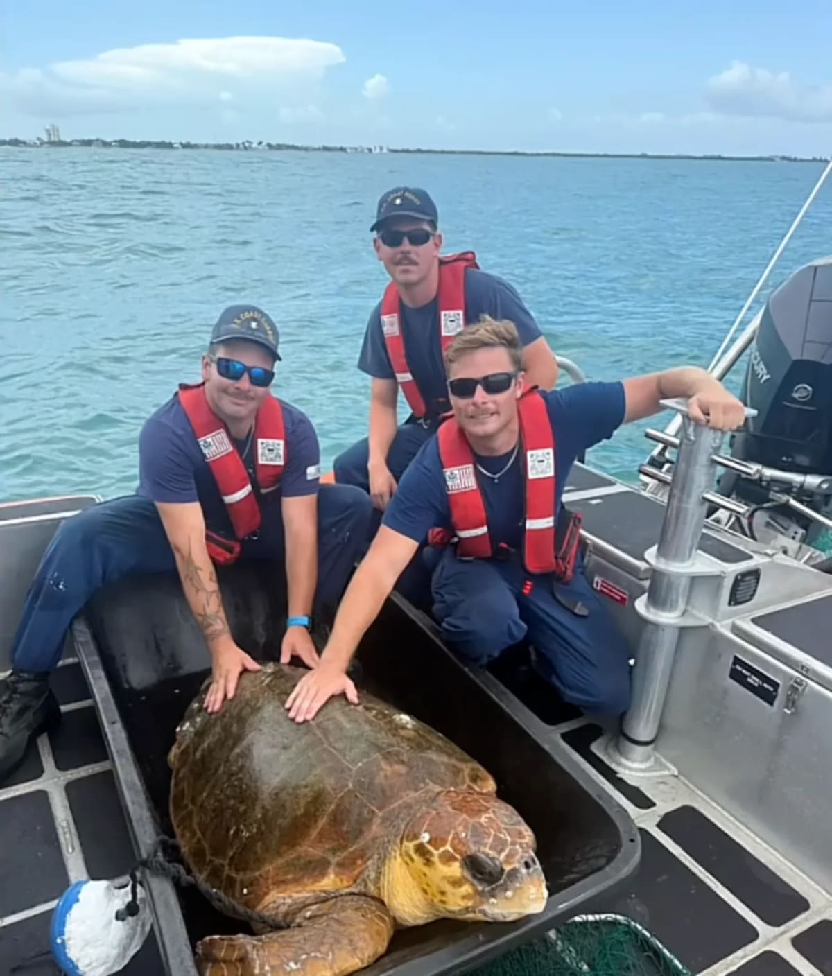 Coast Guard Saves 220-Pound Turtle Carrying 100 Eggs - Image 2