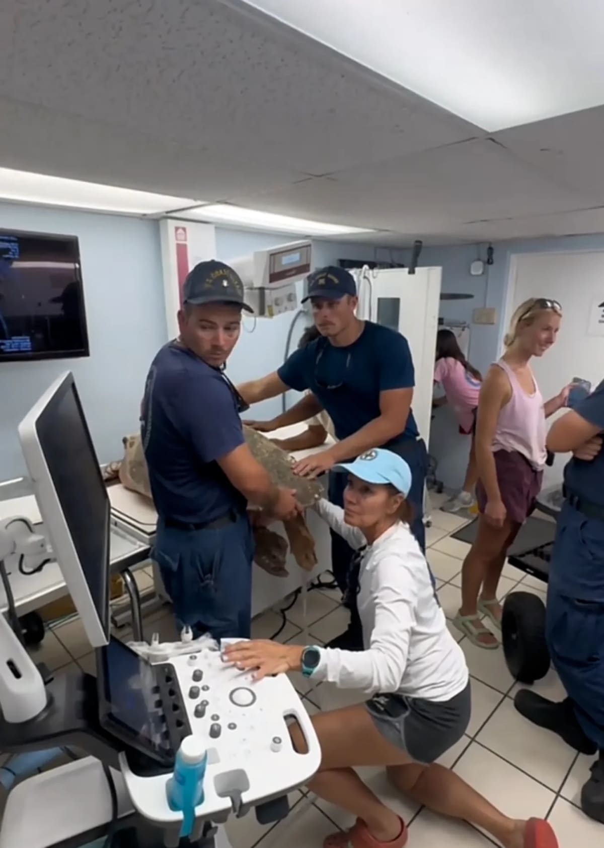 Coast Guard Saves 220-Pound Turtle Carrying 100 Eggs - Image 4