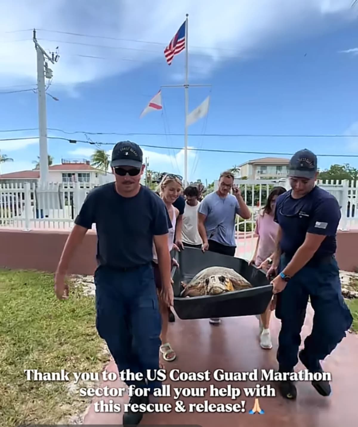 Coast Guard Saves 220-Pound Turtle Carrying 100 Eggs - Image 5