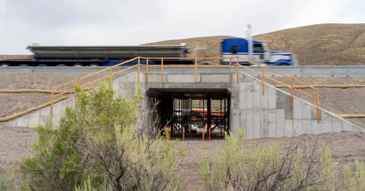 Idaho's New Wildlife Underpass to Save 100 Deer Annually