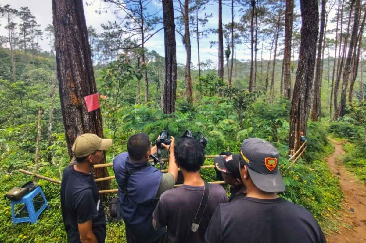 Former Bird Hunters Now Save Endangered Java Songbirds - Image 3