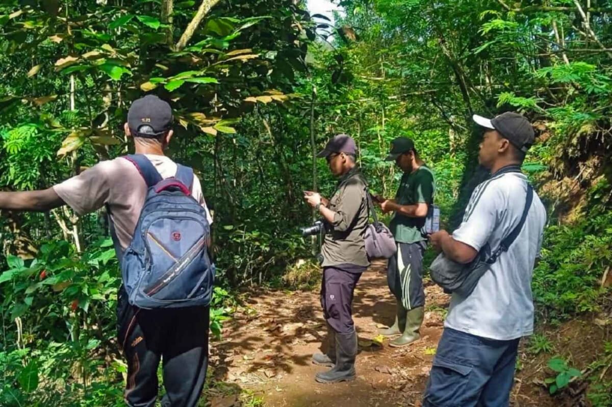 Former Bird Hunters Now Save Endangered Java Songbirds - Image 4