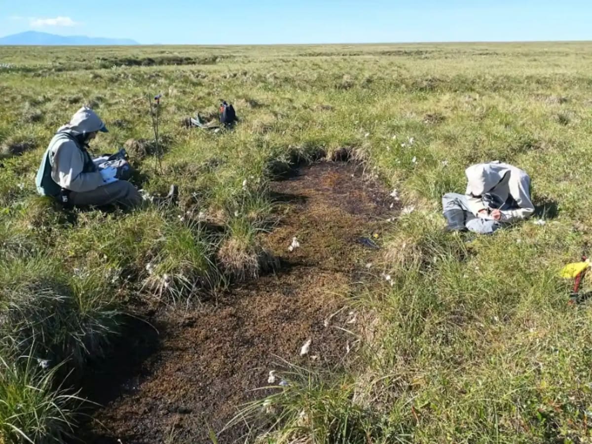 Scientists Create Real-Time Map of Arctic Permafrost Thaw - Image 3