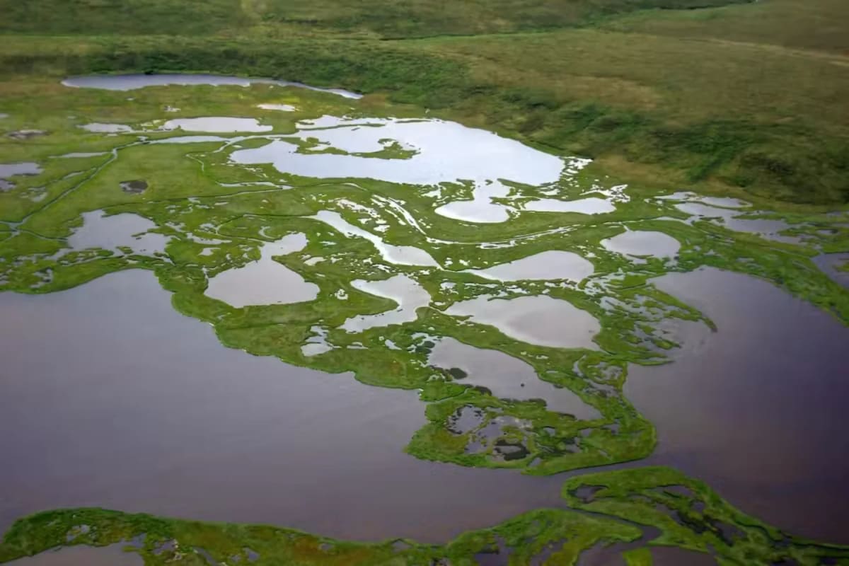 Scientists Create Real-Time Map of Arctic Permafrost Thaw - Image 2