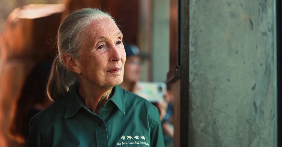 Dr. Jane Goodall smiling outdoors in nature, embodying her lifelong conservation legacy