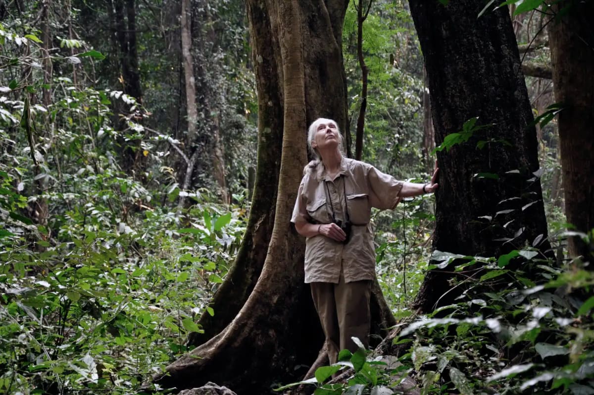 Jane Goodall Institute Launches First Hike for Hope Event - Image 3