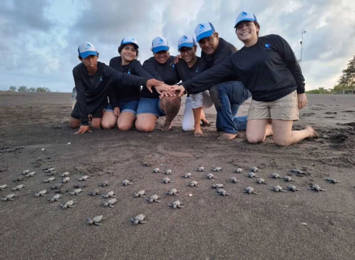 Mexican Family Saves 3,500 Sea Turtles in 59th Year - Image 3
