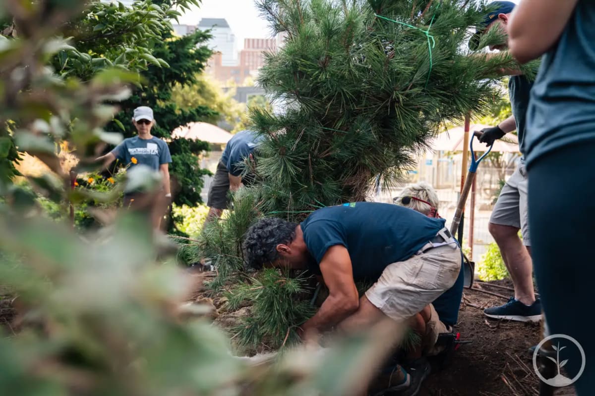 3,000 Trees to Honor 9/11 Lives Through National Campaign - Image 2