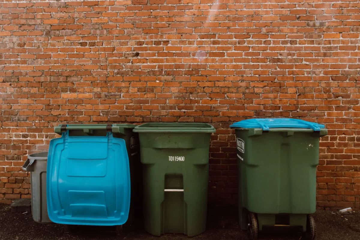 Collecting Trash Less Often Boosts Recycling Rates - Image 3