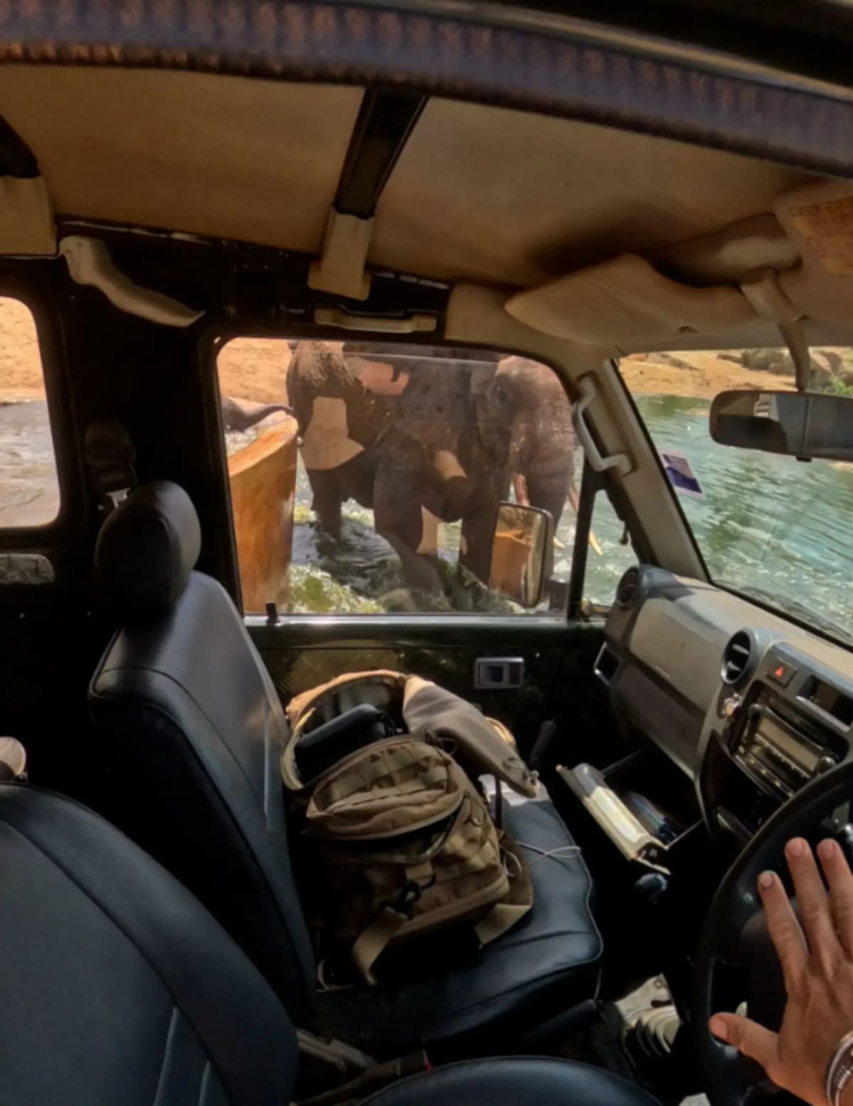 Rangers Save Baby Elephant Trapped in Water Trough - Image 3
