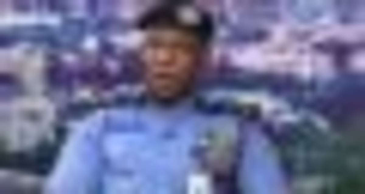 Nigeria Fires 22 Vendors Over Food Aid Fraud - Image 3