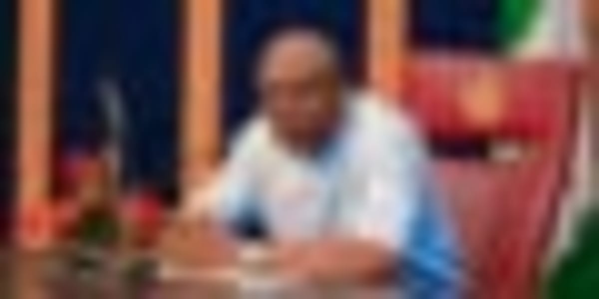 Nigeria Bans Cash Tax Collection and Tax Roadblocks - Image 5