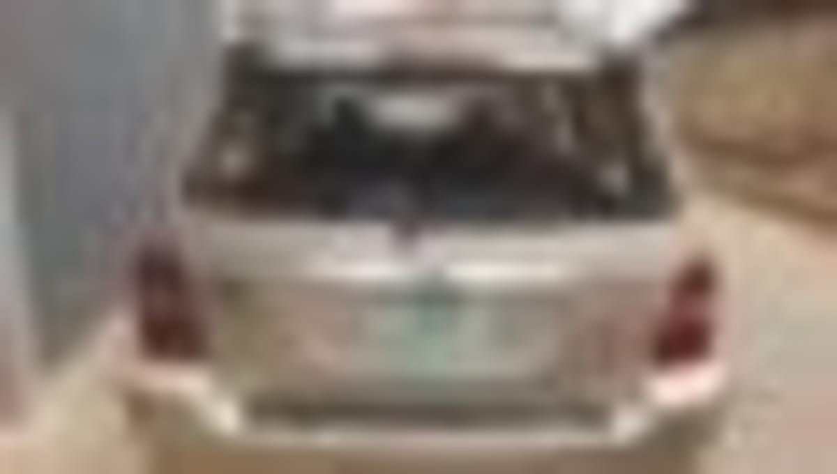 Nigeria's Creatives Launch Coalition for Early Learning - Image 4