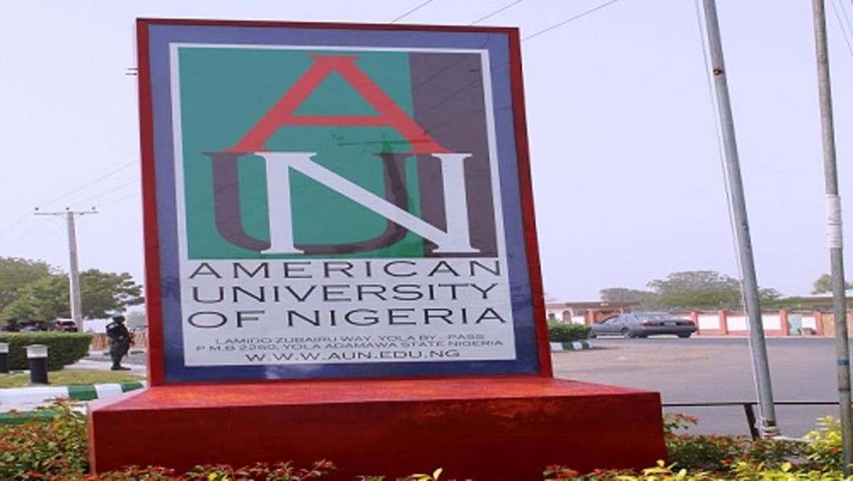 12 Chibok Survivors Graduate from Nigerian University - Image 2