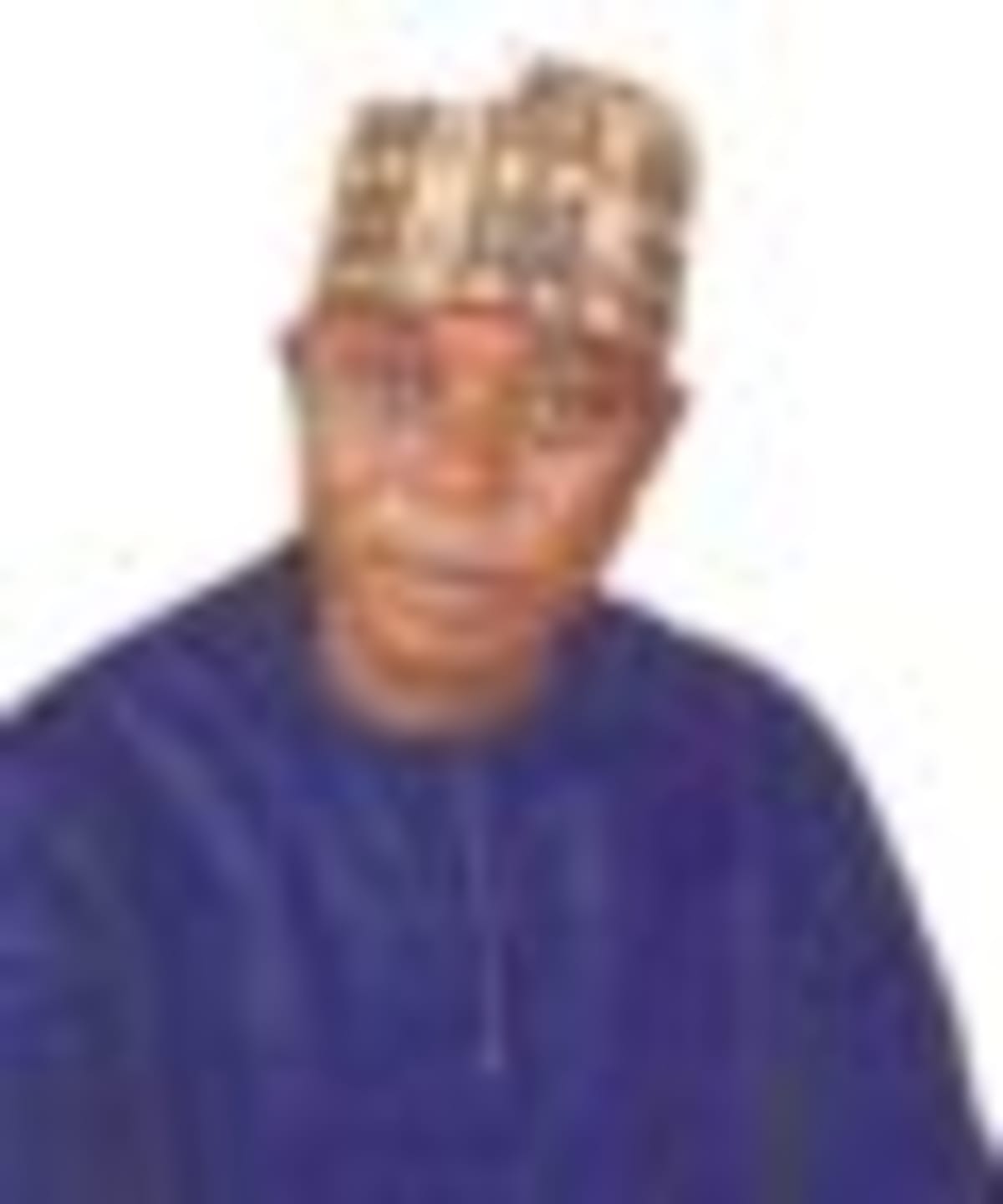 Nigerian-Born Politician Leads UK Opposition Party - Image 5